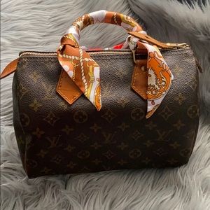 LOUIS VUITTON Speedy 25 in classic monogram